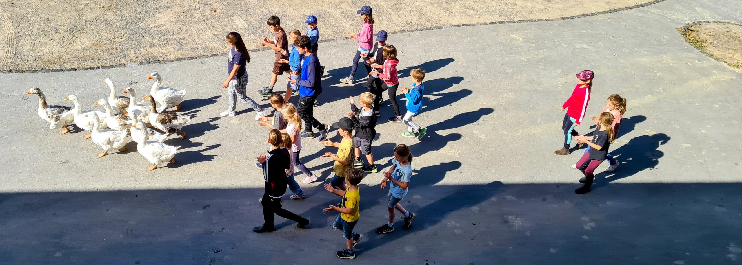 🐣„Ferien auf dem Bauernhof – Tiere und Natur in den Osterferien erleben“🐣