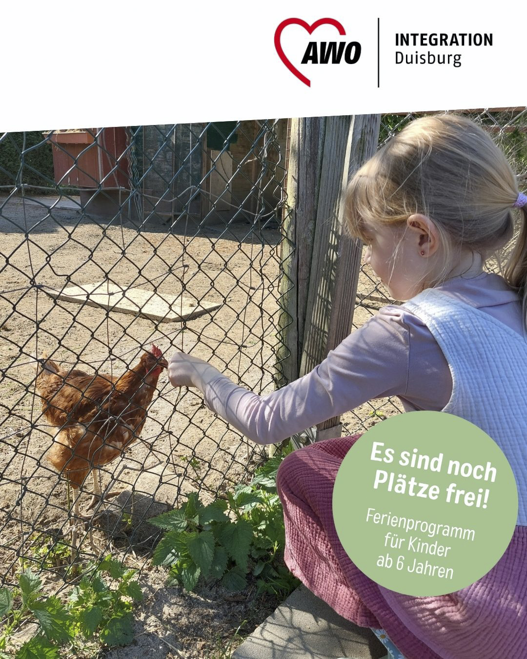 Tierisches Programm für Kids: Herbstferien auf dem AWO-Ingenhammshof
